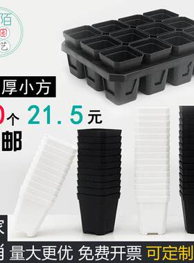 加厚八角7方小白黑方多肉大方形花盆塑料托 托架叶插育苗盆套餐包