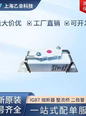 巴斯曼熔断器 170M2005 170M2006 170M2007 170M2008 170M2009