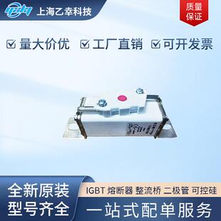 170M2033 巴斯曼熔断器 170M2032 170M2031 170M2035 170M2030