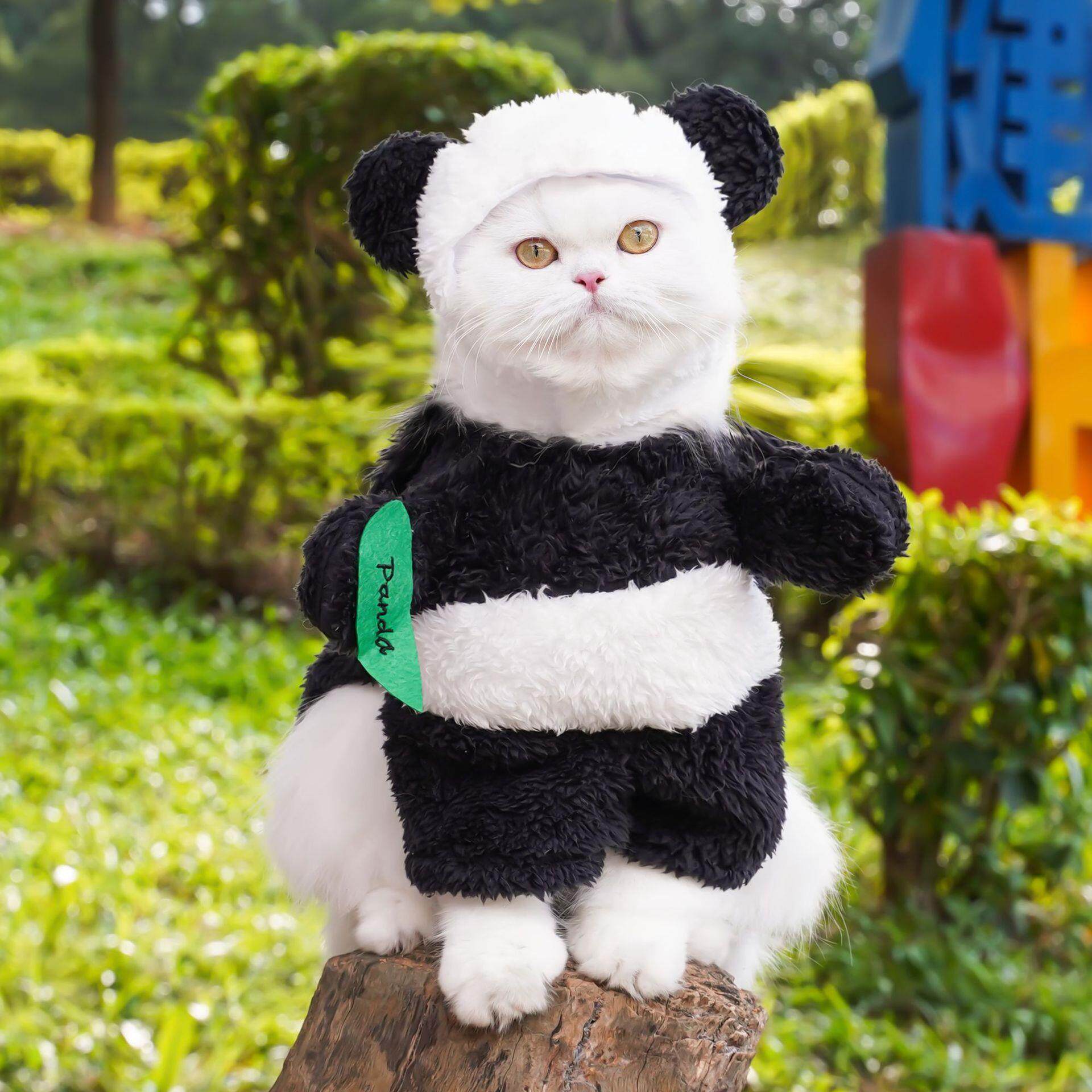 宠物服饰亚马逊跨境站立狗变身装搞笑泰迪比熊狗狗猫咪衣服猫用品