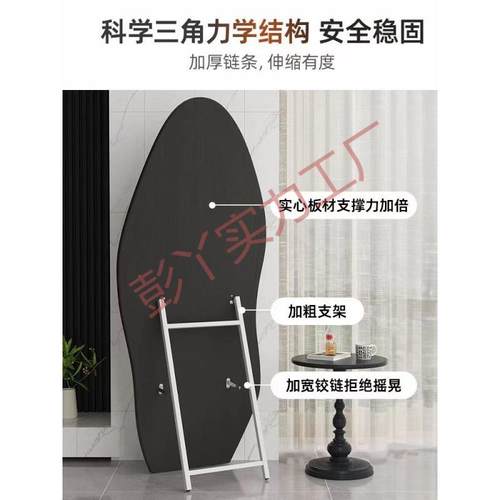 全身落地服镜生子衣帽间装衣芒果家用女卧室SDU网红试穿衣镜不变