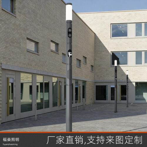 监控杆一体立杆户外广场照明音响摄像机多功能智慧监控庭院灯