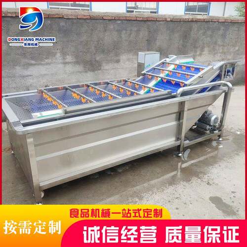 全自动大型桃子气泡清洗机商用翻浪式果蔬清洗机净菜加工设备