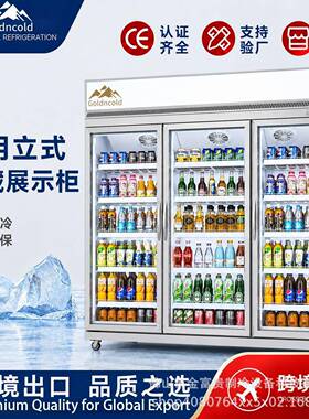 金富贵饮料柜冷藏展示柜立式保鲜柜商用大容量冰柜双门冰箱