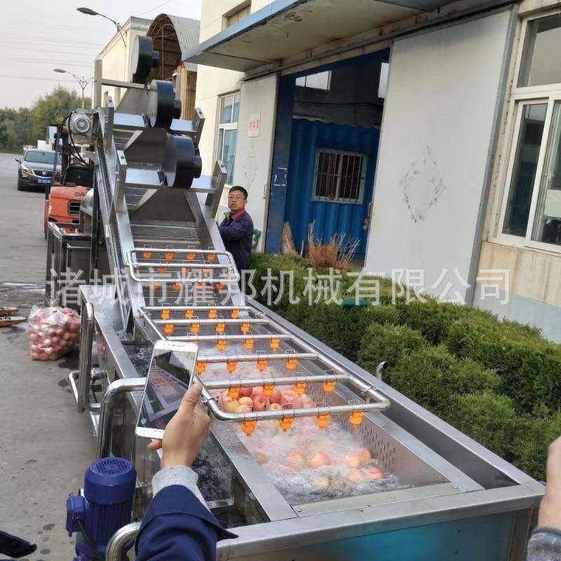 人参果清洗机 高压气泡式葡萄清洗机 气泡喷淋式雪莲果清洗机设备