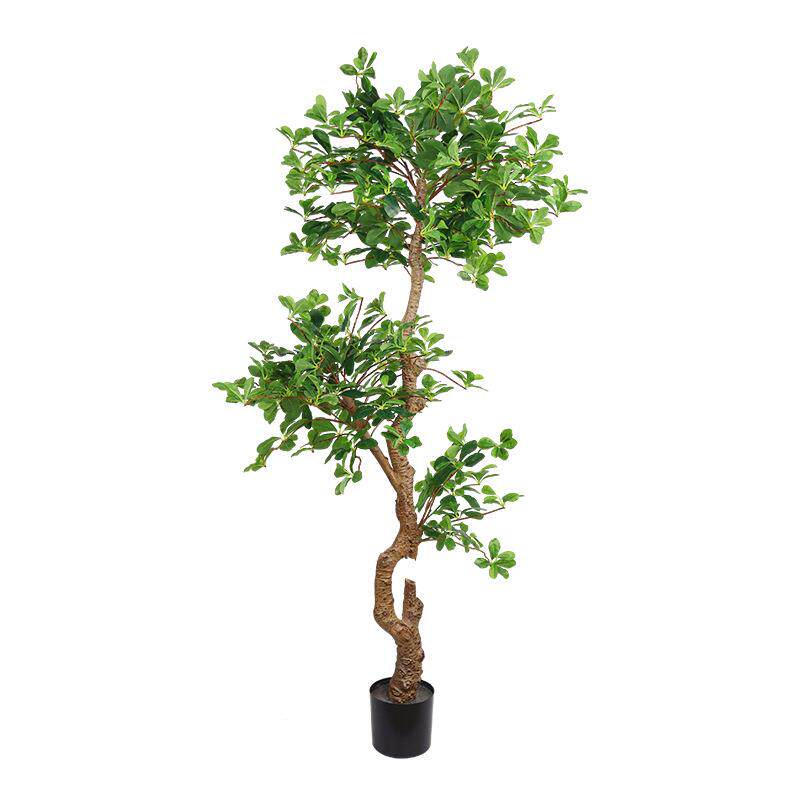 仿真福禄桐仿真绿植盆栽ins北欧风格室内家居装饰落地摆件假树盆