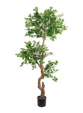 仿真福禄桐仿真植盆栽i绿ns北欧风格室内家居饰落地FY-D051摆件假