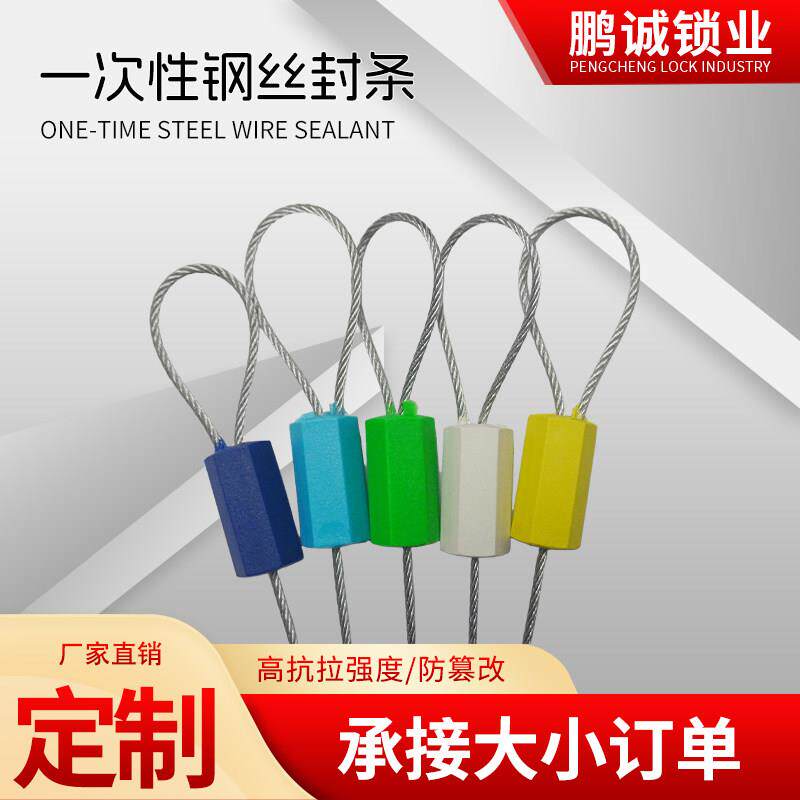 一次性钢丝封条防盗铅封锁扣物流标签扎带塑料施封锁厂家可定制