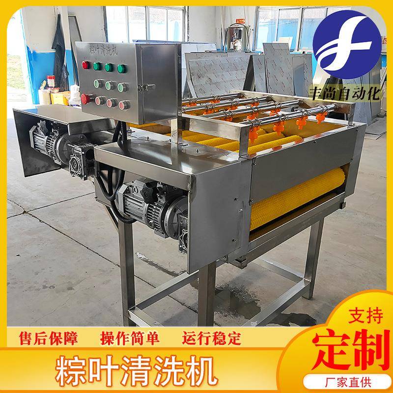 丰尚自动循环水清洗粽叶荷叶苇叶清洗机芥菜叶高压喷淋清洗设备