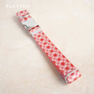 PDC344 银扣 PLATTCO 自主设计柔软舒适宠物狗项圈三件套装