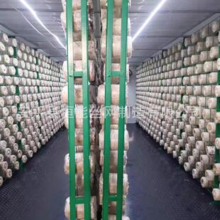 食用菌出菇网格架培菌架方舱出菇架子蘑菇种植架