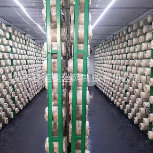 食ZLE用菌菇网格架培架方舱菇出菇菌架出子蘑种植架