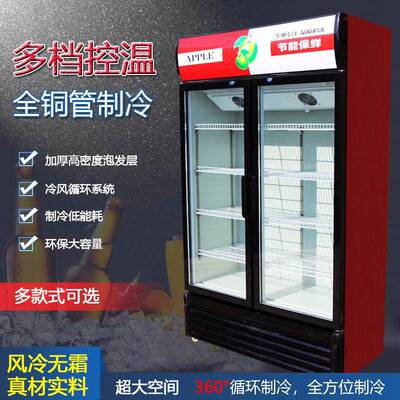 啤酒柜展示柜饮料冷藏柜单门冷饮柜双门风冷冰箱商用冷饮柜