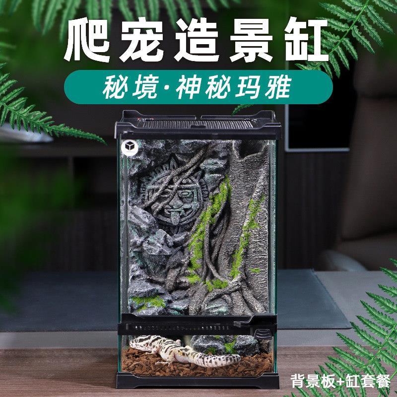 爬宠造景缸背景板套装睫角饲养箱蜥蜴蛇树蛙蜘蛛爬虫玻璃缸202032