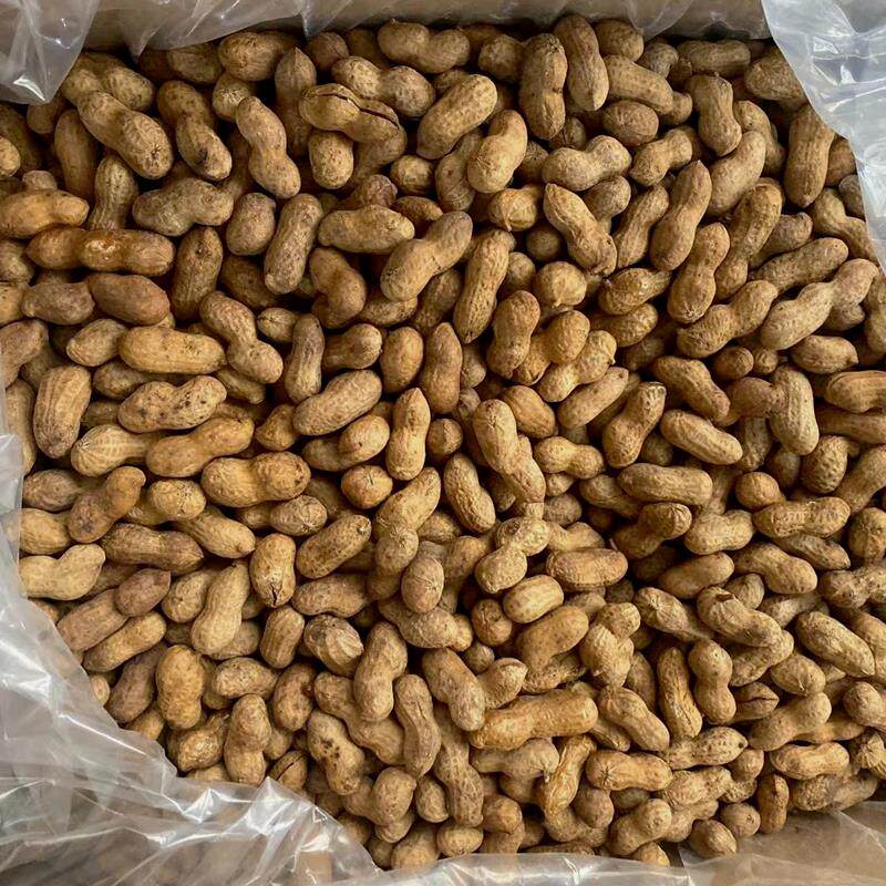 大新来糖果花生带壳花生果网红休闲零食下酒菜下午茶点心餐饮炒货