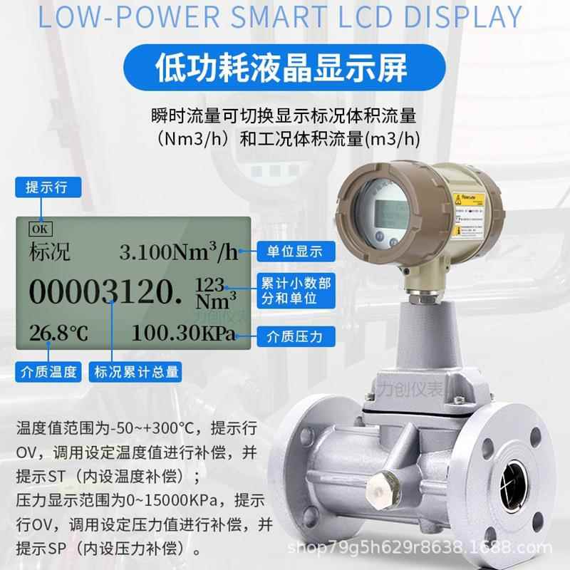 智能旋进漩涡旋涡流量计天然气煤气沼气流量压缩空气氮气计量表