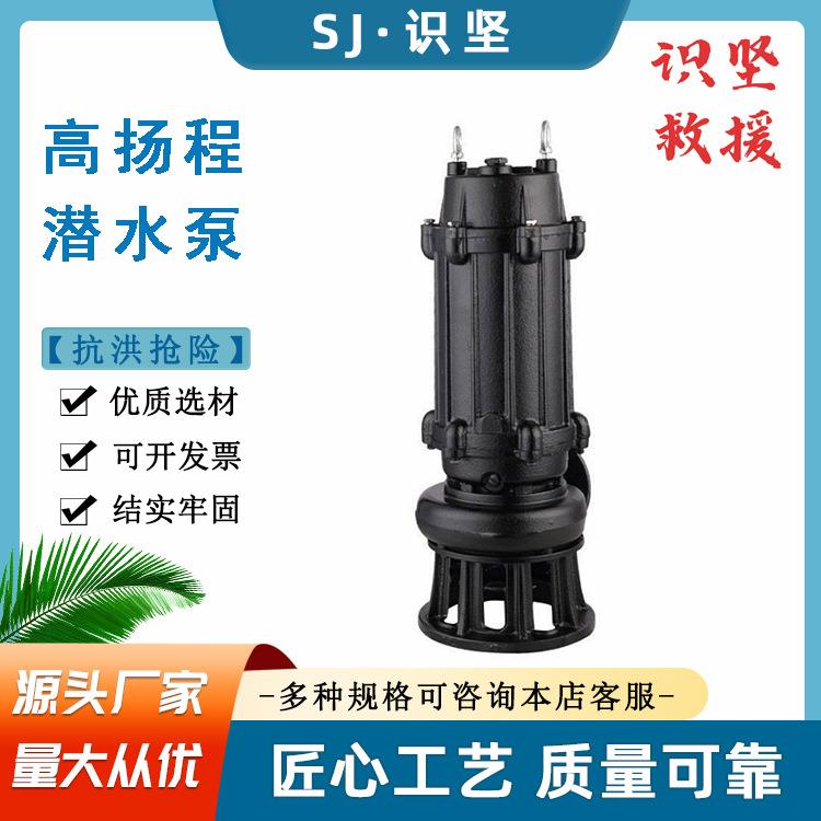 抗洪抢险50KW高扬程污水泵100m³/h大流量潜水泵无堵塞排污泵