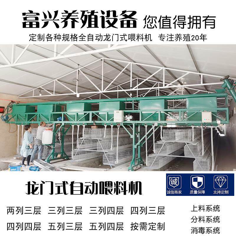 四列鸡场行走式喂料机自动养鸡设备阶梯式喂料机自动投料系统