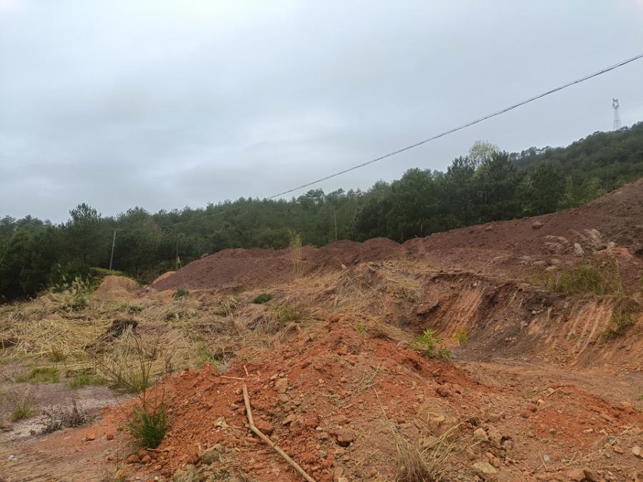 6月28日龙岩褐铁矿（矿石量约4554.76t）网络拍卖公告