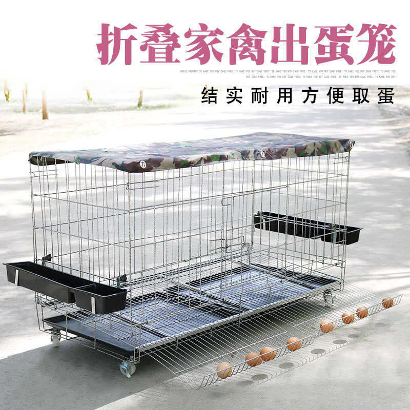 鸡圈鸡笼子立立式鸡窝家用鸡舍母鸡笼棚殖斗鸡笼养体笼下蛋大型
