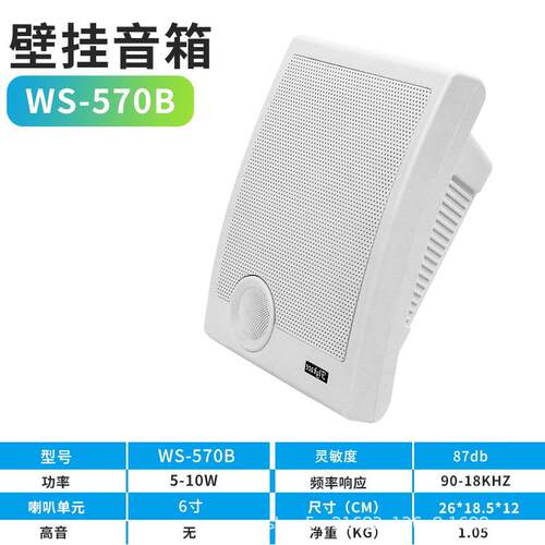 flykace WS-570B壁挂喇叭 壁挂音箱 教室壁挂音响 店铺壁挂喇叭