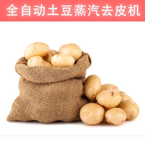 工业级薯类蒸汽去皮机 马铃薯红薯土豆通用 去皮率低耗加工设备