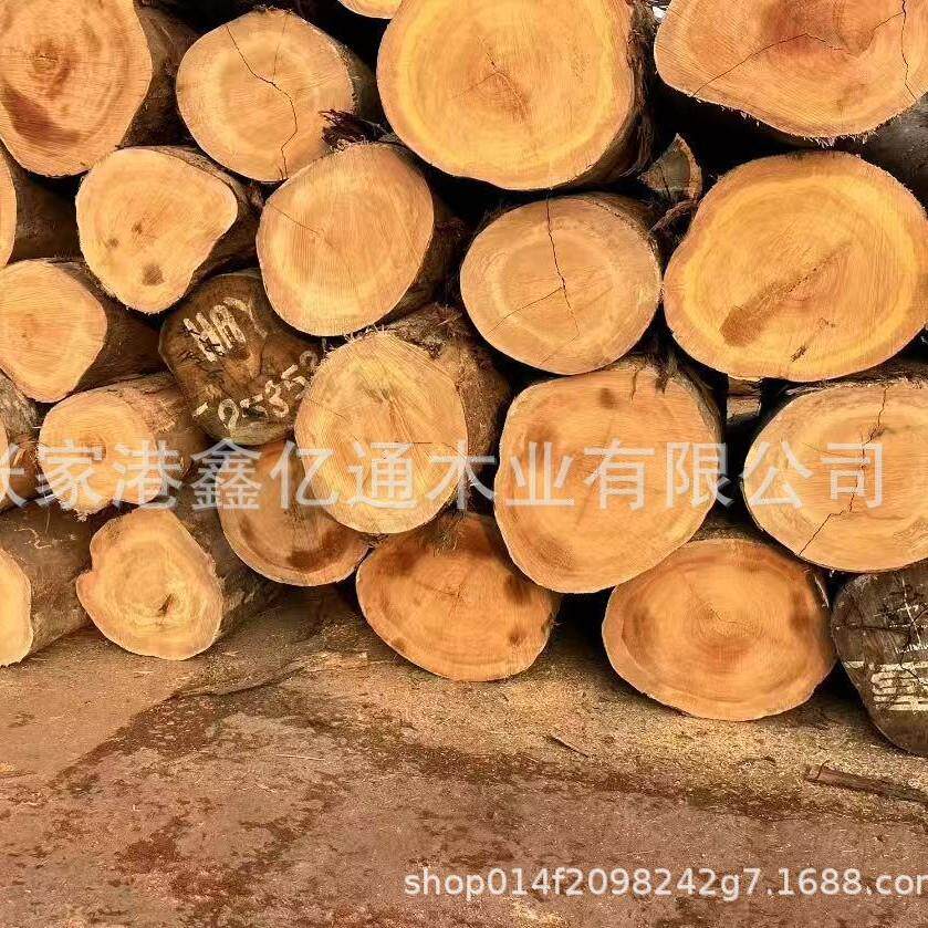 黄硬木 黄檀木原木板材 黄花梨木料 加工户外防腐木用料 巴蒂木材