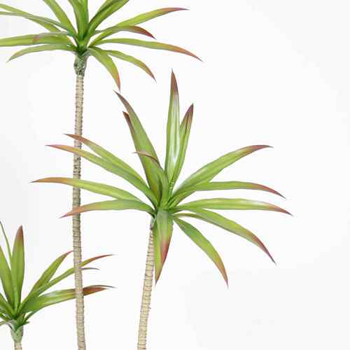 工厂植直销仿龙舌血兰龙树户RNQ外造景仿真绿盆栽装饰沙生植真物