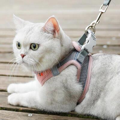 Breathable Cat Harness Leash Escape Proof Pet Clothes vest