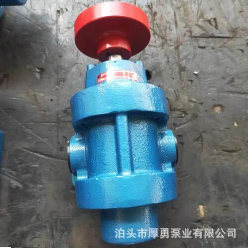 各种规格2CY不锈钢齿轮泵304材质高温高压自吸泵食品泵