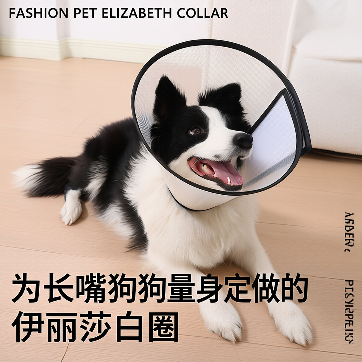 伊丽莎白长嘴宠物宠物伊丽莎白圈