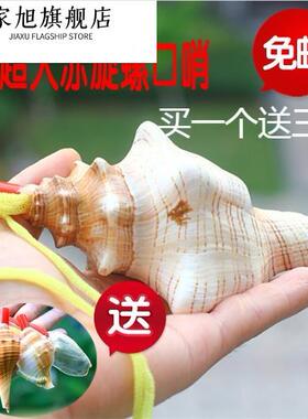 天然海螺号角可吹喇叭口哨超大贝壳哨子儿童玩具哨小螺号能吹响的