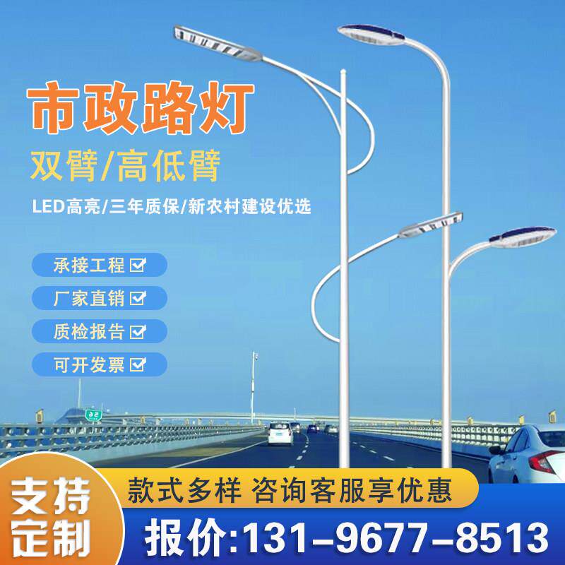 led市电路灯8/10/12米双臂高低臂高杆路灯市政道路照明户外路灯杆