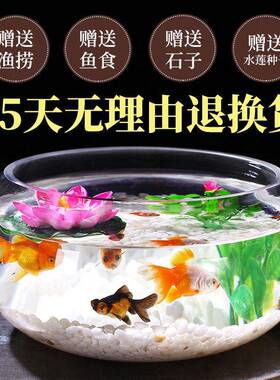 精致小鱼缸办公室加厚透明玻璃乌龟缸客厅家用桌面圆形迷你小型金
