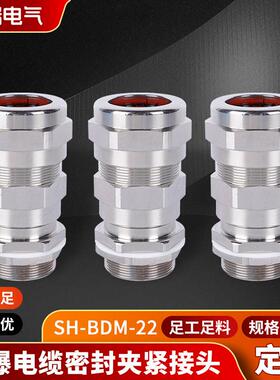 不锈钢铠装双密封填料函电缆接头防爆格兰头SH-BDM-22电缆固定头