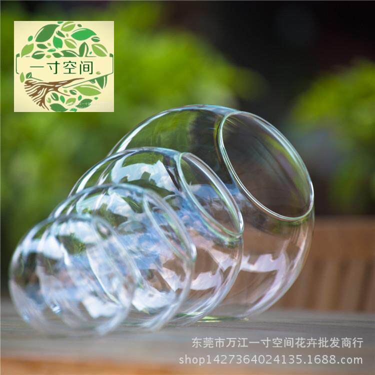 苔藓微景观生态瓶 多肉DIY生态瓶 圆形斜口玻璃瓶 斜口瓶苔藓瓶