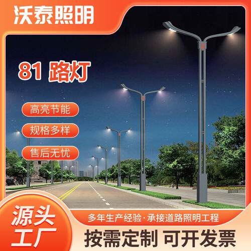 户外防水防锈市电路灯厂家直销6-10米特色文旅LED路灯