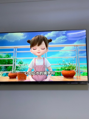 说下知道TCL55V6M与海信55E52D哪款值得入手？比较一下差别大不大