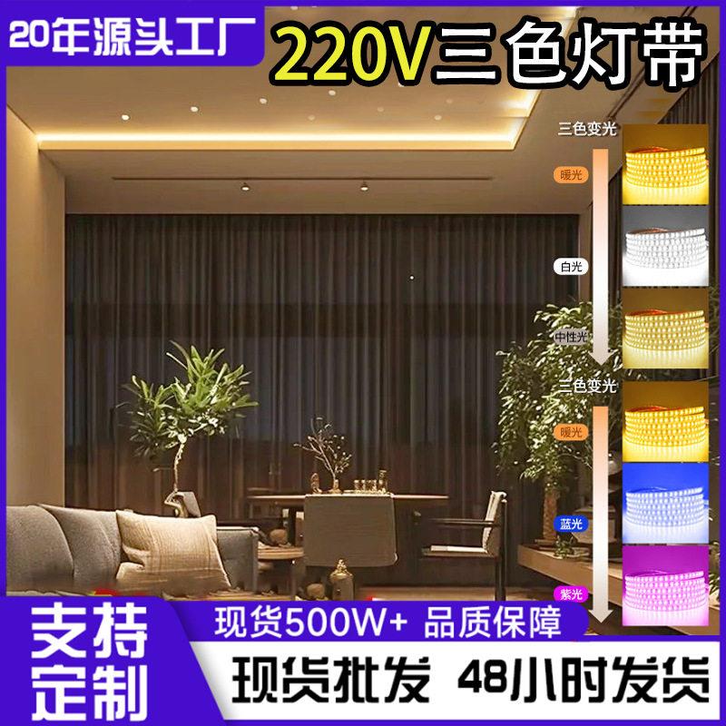 三色变光灯带led灯条家用超亮220V户外防水变色客厅吊顶软光带