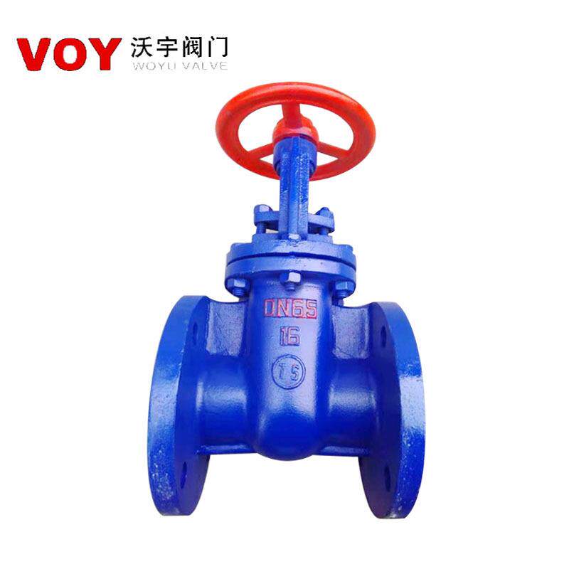 0/16型平铸铁明杆206行式双闸板闸阀