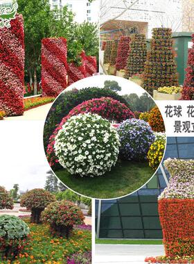 市政立体垂直绿化花架道路广场装饰景观花球花柱园林工程立体花坛
