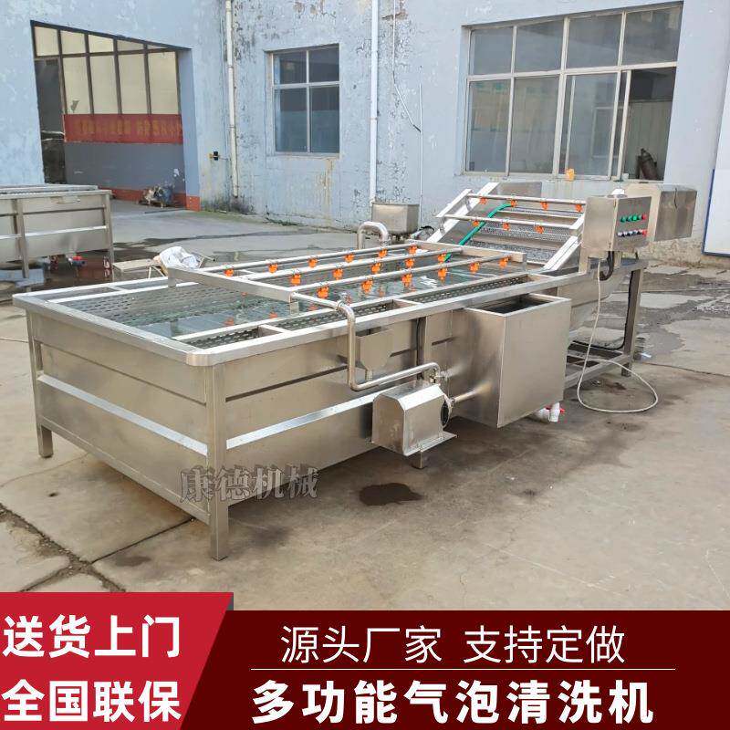 绿豆芽黄豆芽气泡清洗机新疆大枣去灰清洗机圣女果小柿子清洗机