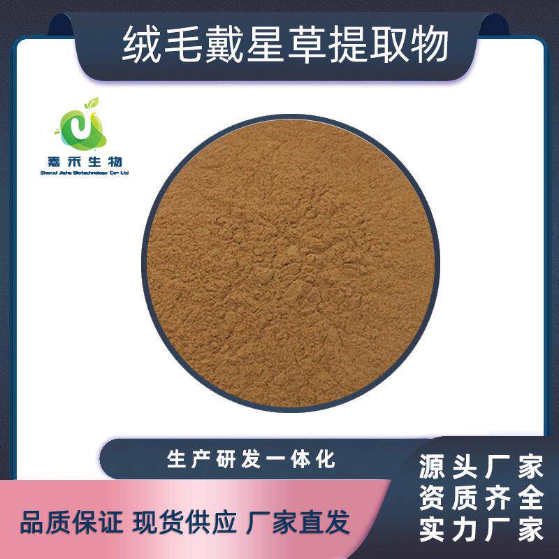 绒毛戴星草提取物 麻腊干提取物 绒毛戴星草浸膏粉