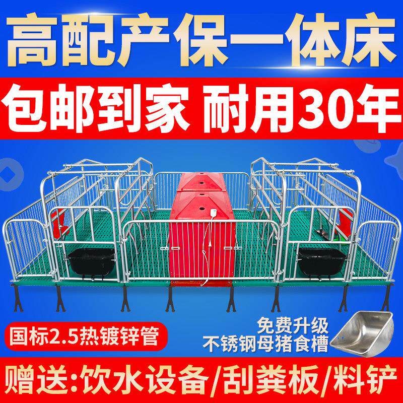 产保一体热镀2.5全覆合单双体母猪产床保育两用床定位栏养猪设备
