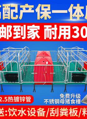 产保一体热镀2.5全覆合单双体母猪产床保育两用床定位栏养猪设备