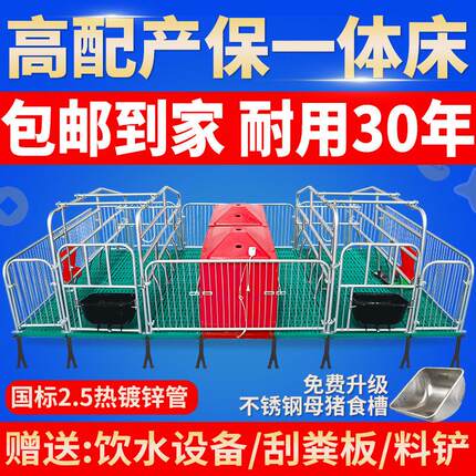 产保一体热镀2.5全覆合单双体母猪产床保育两用床定位栏养猪设备