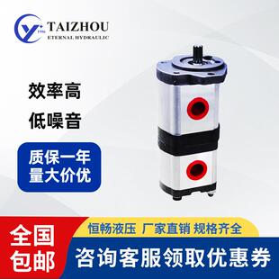 型号齐全扫地机GMP2CBQ垃圾车体积小拖拉机齿轮液压油泵