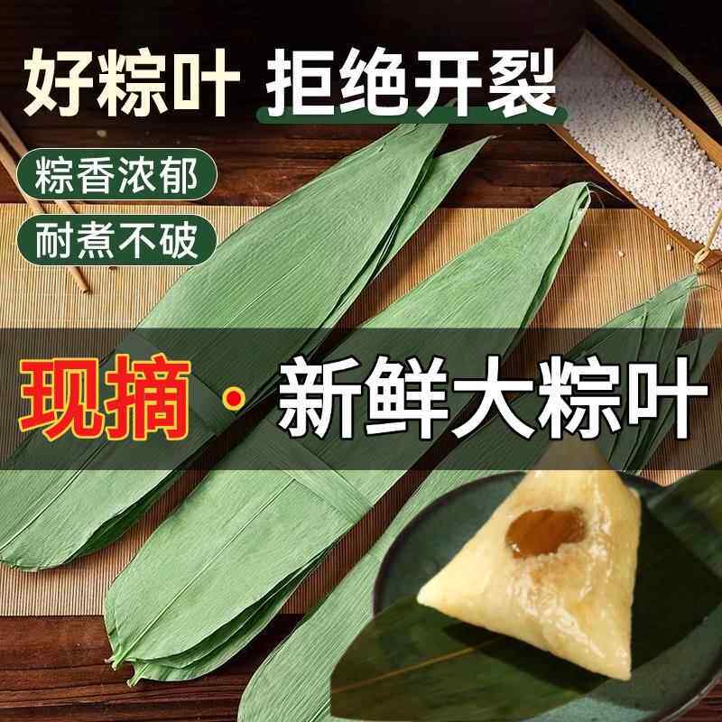 粽叶新鲜粽子叶包粽子专用旗舰店新鲜野生粽叶端午嘉兴粽子专用叶