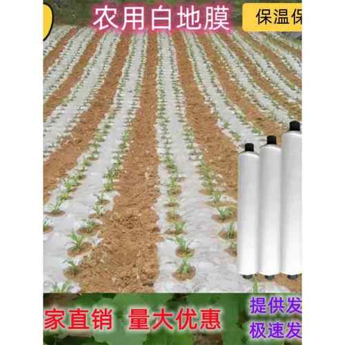 黑白色地膜农用种植保温保湿胶纸塑料薄膜大棚蔬菜果树园建筑护路