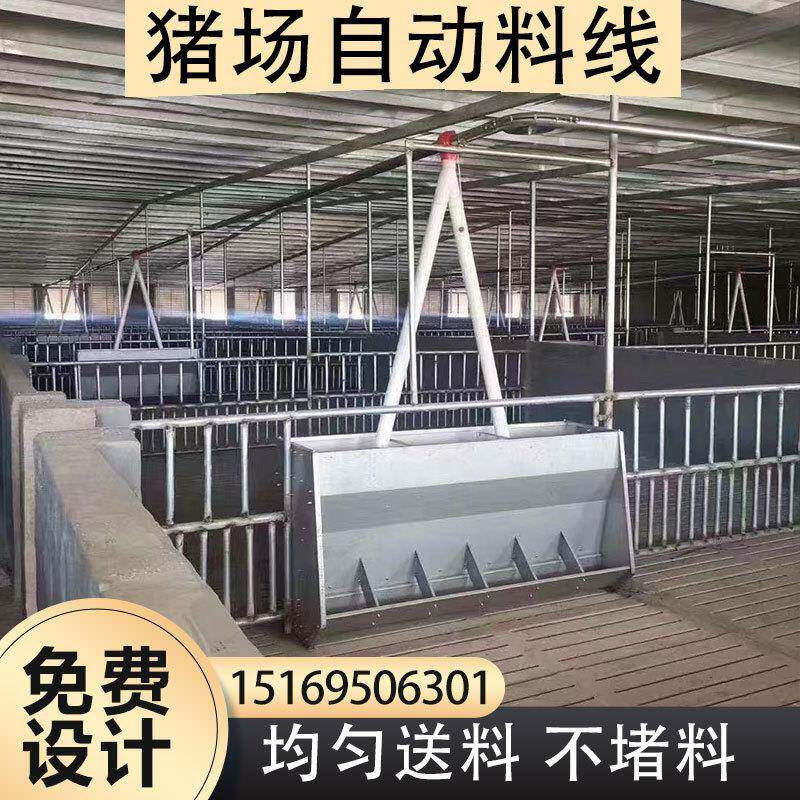 养殖场料线全自动设备猪舍料线全套养殖场设备喂猪料线自动喂养